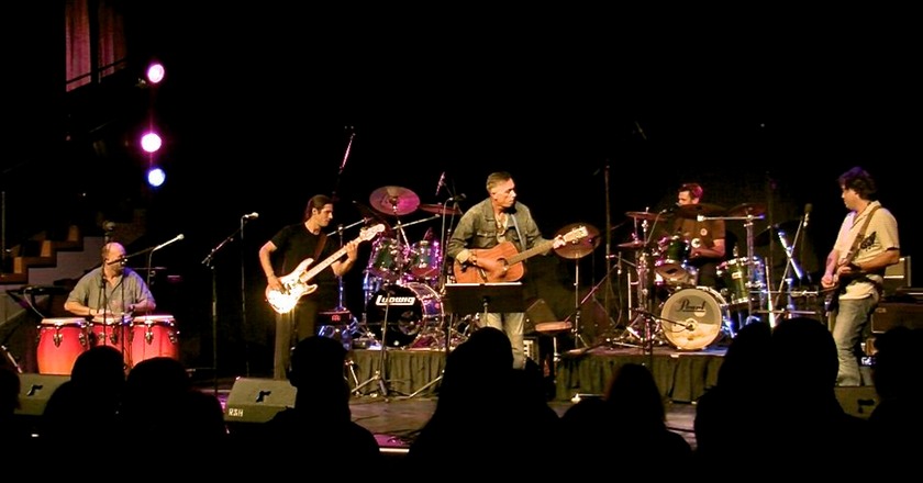 Loungeroom Lizards & Friends